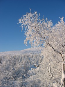 Winter_lapland