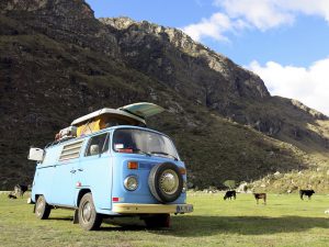 Huaraz, Peru - January 10, 2016: A blue VW Bus from 1973 parked on a field with cows in the Cordilliera Blanca in Peru